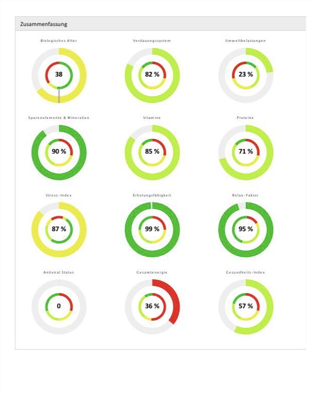 Biovitalscan- Biovitalanalyse Diagramm von ChilligGesund